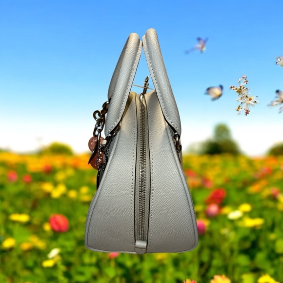 Coach Sydney Satchel Crossbody Lt. Sage Green Silver Logo Bag w/ pink cherry NWT - Picture 5 of 11